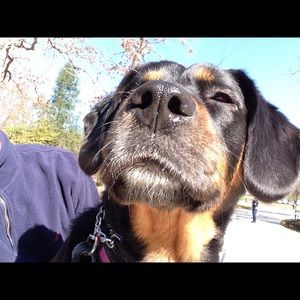 Meet your Posher, Michael